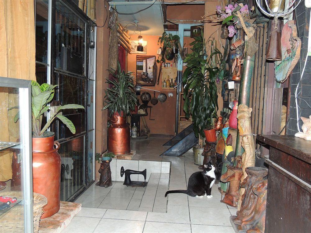 Hostal Del Este Santa Fe San José Extérieur photo